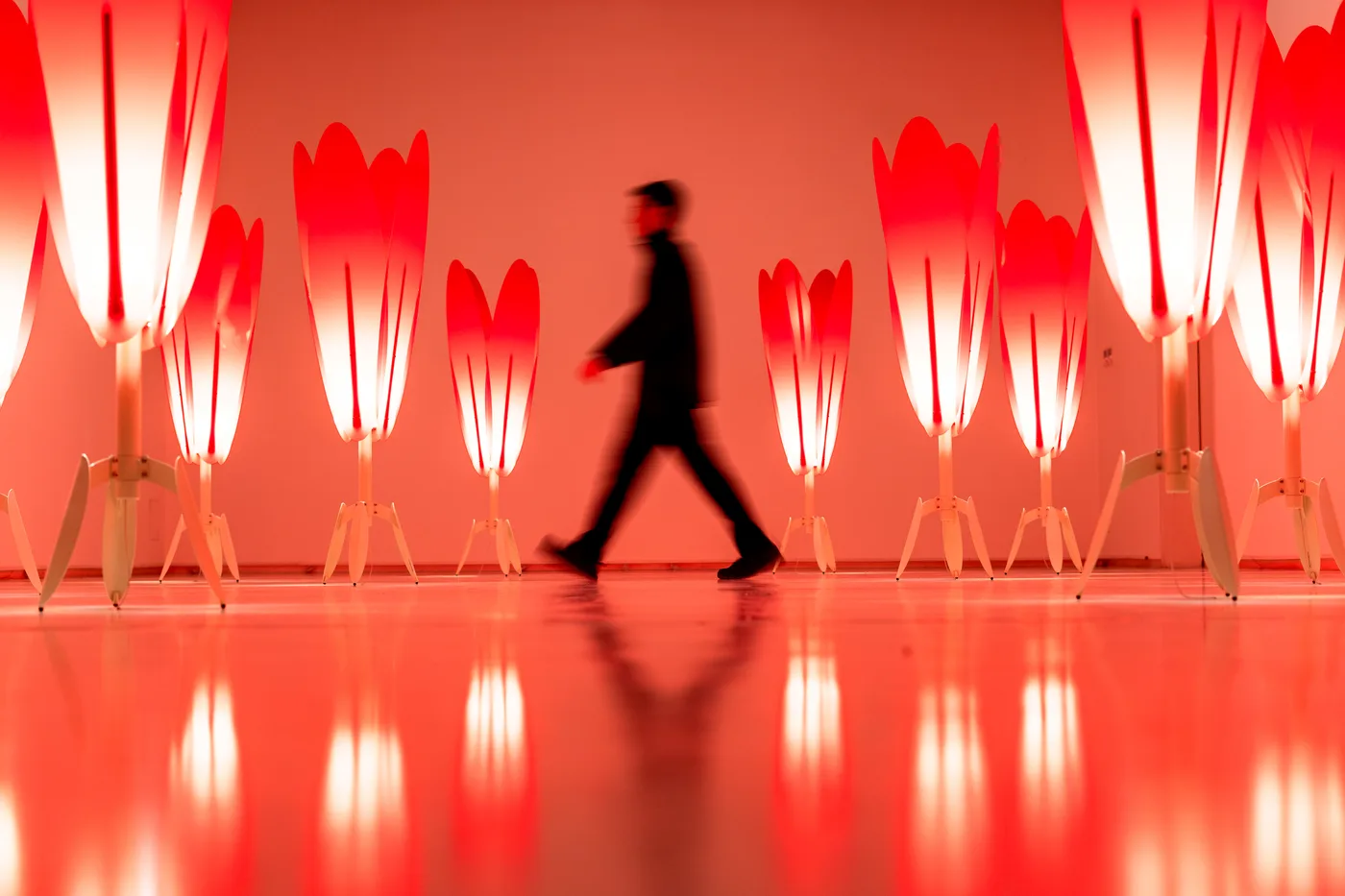 A figure walking the red-lit aisle between the tulips