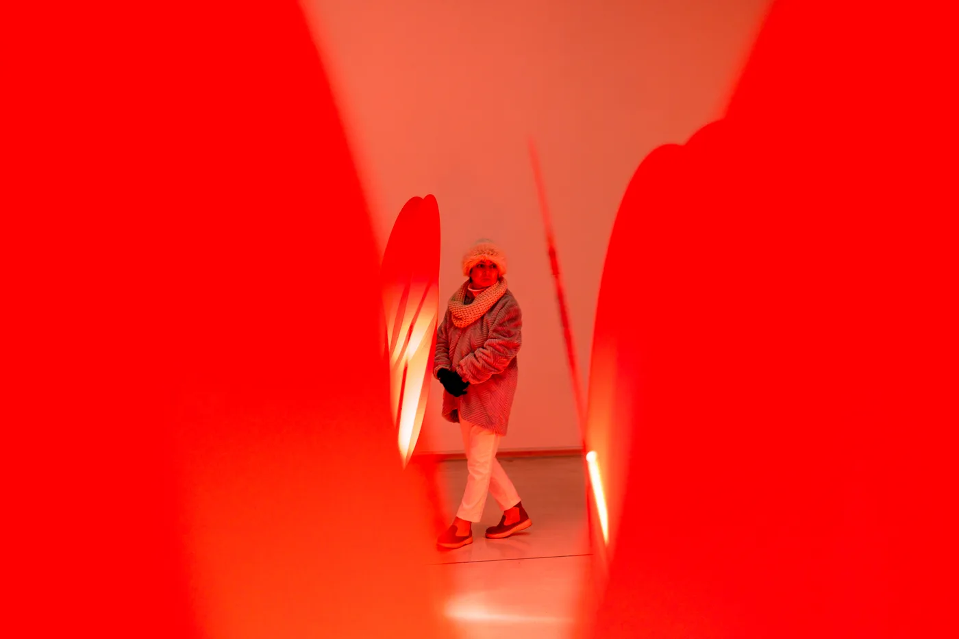 A visitor dwarfed by the tall red petals