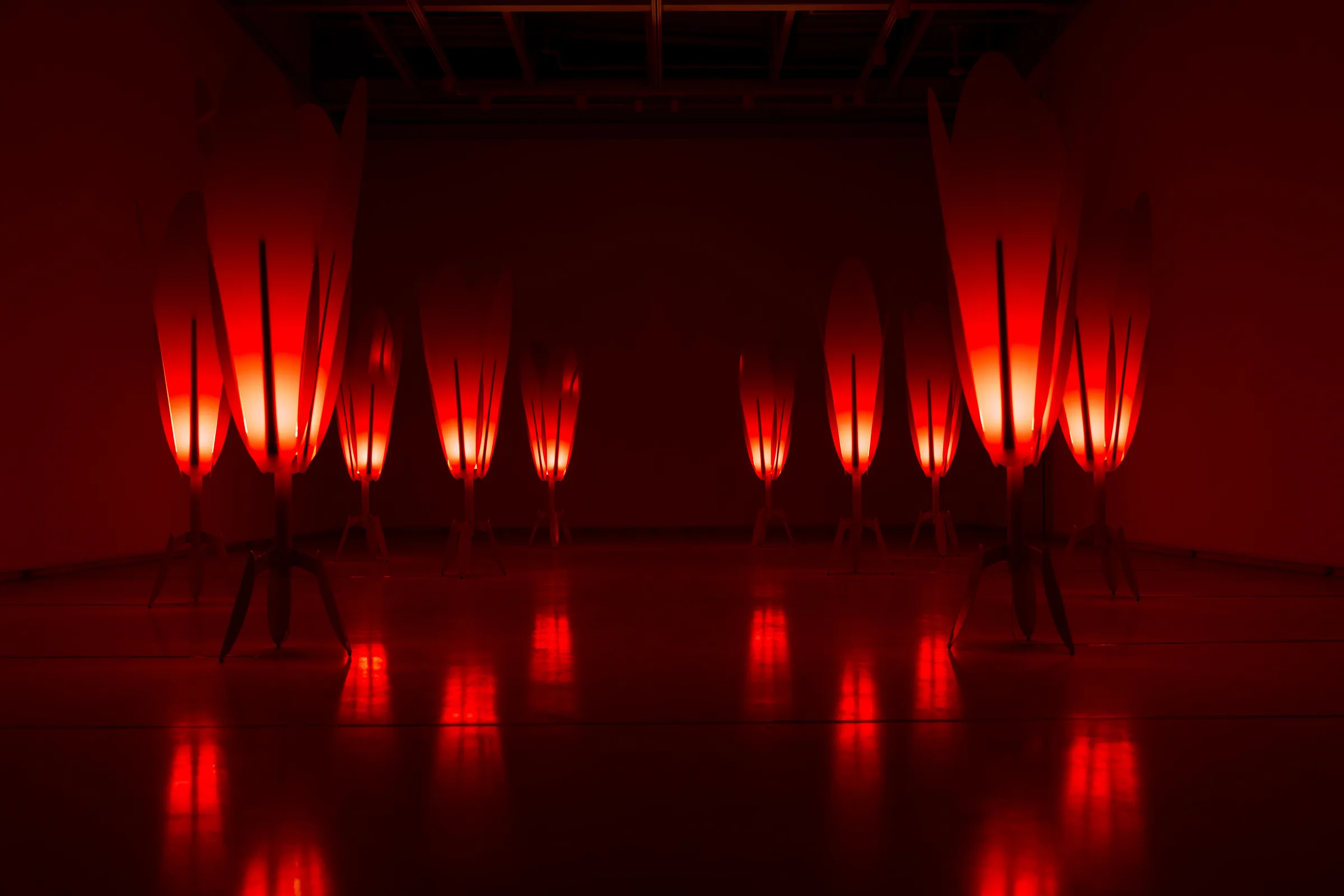 Rows of red tulip lamps glowing in darkness, reflected on the gallery floor