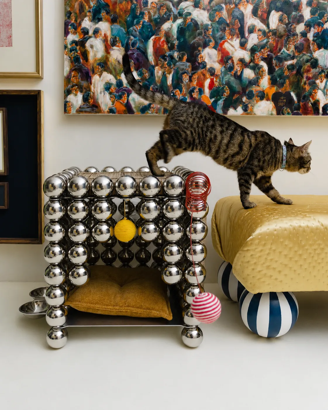 A cat exploring the top of the Wishes pet home
